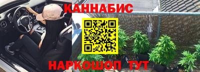 apvp Бийск