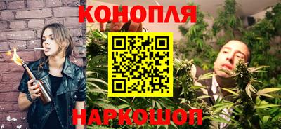 apvp Бийск
