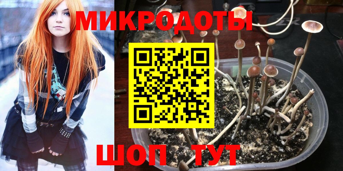 Псилоцибиновые грибы прущие грибы Ковров