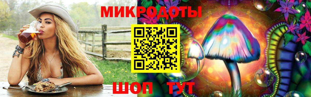 Псилоцибиновые грибы Magic Shrooms  как найти закладки  Ковров  Галлюциногенные грибы MAGIC MUSHROOMS  Вход с VPN 